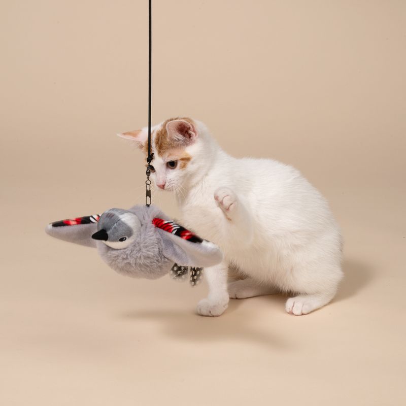 TIAKI Elektronische Katzenangel Mauerläufer mit Federn