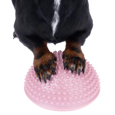 Zampe di cane su una palla rosa con nodi, adatta per esercizi di equilibrio e coordinazione.