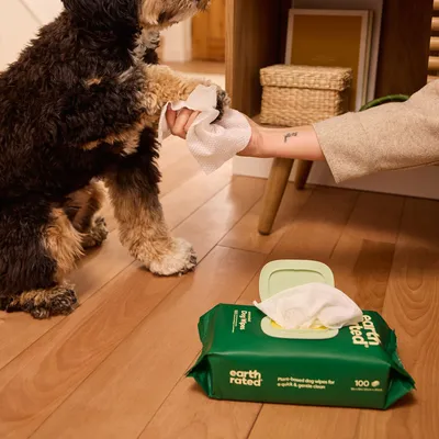 Earth Rated Hundetücher, pflanzenbasiert für schnelle und sanfte Reinigung. Verpackung mit 100 Tüchern sichtbar, Anwendung am Hund gezeigt.