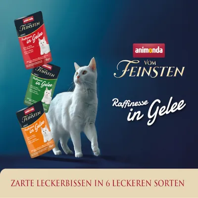 Animonda Vom Feinsten Raffinesse in Gelee. Zarte Leckerbissen in 6 leckeren Sorten, abgebildet mit weisser Katze und Produktverpackungen.