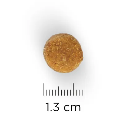 Yksi pyöreä nappula, halkaisija 1,3 cm, mitta-asteikon vieressä