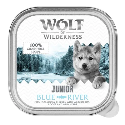 Wolf of Wilderness Junior Blue River, 150g. 100% grain-free recipe mit frischem Lachs und Huhn, Wildbeeren, Wurzeln und Kräutern.