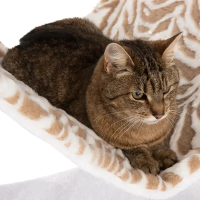 Smeđa tigrasta mačka leži na bež i bijeloj visećoj mreži s uzorkom, materijal izgleda kao mekana tkanina.