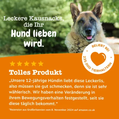 Zesty Paws Senior Hip & Joint Chews Dinde