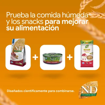 N&D Ancestral Grain pienso, N&D Prime Chicken & Pomegranate comida húmeda y N&D Adult Cream Snack. Desarrollado científicamente para combinarse. N&D Ancestral Grain pienso, N&D Prime Chicken & Pomegranate comida húmeda y N&D Adult Cream Snack. Desarrollado científicamente para combinarse.