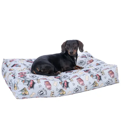 Chien noir et marron allongé sur un grand coussin rectangulaire à motifs colorés (valises, trains, lettres, logos Platform 9 3/4). Housse en tissu imprimé visible.