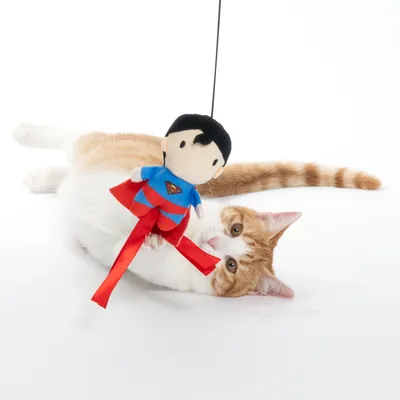 Igračka sa Superman dizajnom na užetu, crvena traka. Mačka se igra s njom.