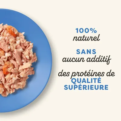 Lot mixte Applaws Cat Pots 8 x 60 g pour chat - sélection au poisson