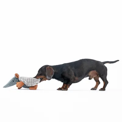 Gravhund leger med et gråt tøjdyr formet som et dyr med orange ben og struktureret krop.