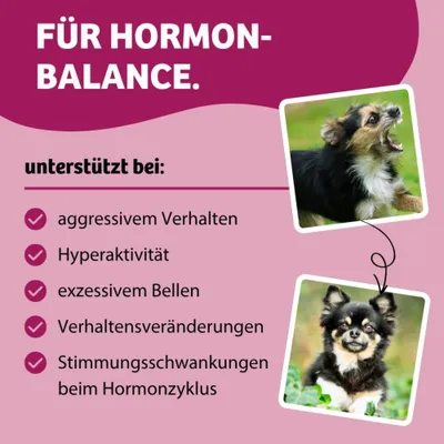 Für Hormonbalance. Unterstützt bei aggressivem Verhalten, Hyperaktivität, exzessivem Bellen, Verhaltensveränderungen, Stimmungsschwankungen beim Hormonzyklus. Für Hormonbalance. Unterstützt bei aggressivem Verhalten, Hyperaktivität, exzessivem Bellen, Verhaltensveränderungen, Stimmungsschwankungen beim Hormonzyklus.