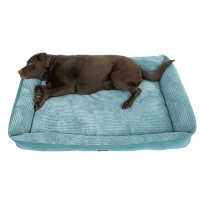 Cane sdraiato su un letto per cani rettangolare color turchese con rivestimento in tessuto a coste.