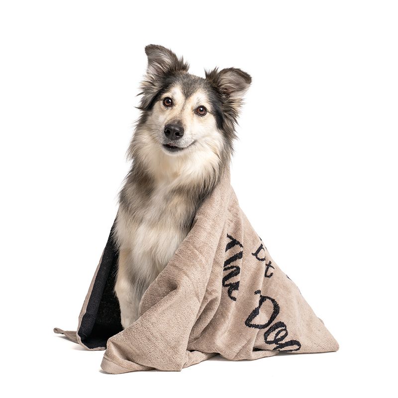 Asciugamano per cani TIAKI "Home"