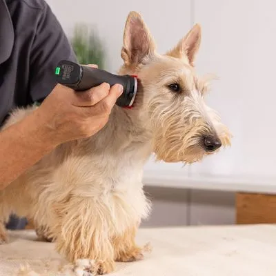 Klippmaskin WAHL® Arco Pro Klippmaskin WAHL® Arco Pro