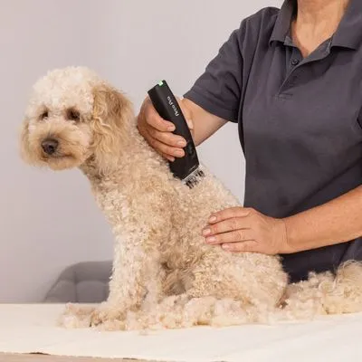 Moser Arco Pro WAHL® Tondeuse