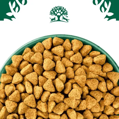 Trockenfutter in dreieckiger Form in einer grünen Schale, mit grünem Logo eines Baumes und Tieren oben im Bild.