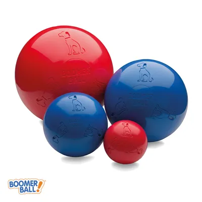 Boules en plastique rouge et bleu de différentes tailles, marque Boomer Ball visible sur chaque balle avec un dessin de chien. Logo Boomer Ball en bas à gauche.