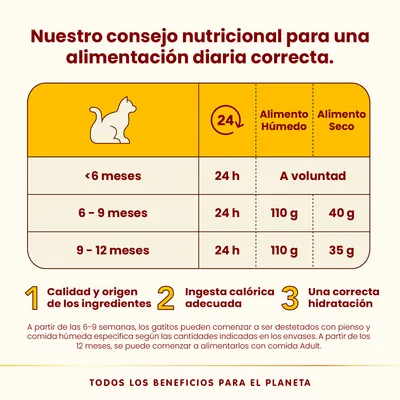 Tabla de alimentación para gatitos: <6 meses, húmedo 24 h, seco a voluntad; 6–9 meses, húmedo 24 h 110 g, seco 40 g; 9–12 meses, húmedo 24 h 110 g, seco 35 g. Consejos nutricionales visibles.