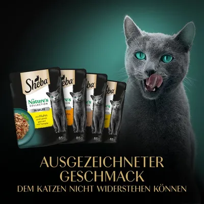 Sheba Nature's Collection in Gelee, mit Huhn und Leinöl, garniert mit Tomate. Ausgezeichneter Geschmack, dem Katzen nicht widerstehen können.