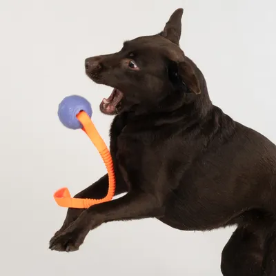 Nomad Tales Spirit Spielball mit Gummizug