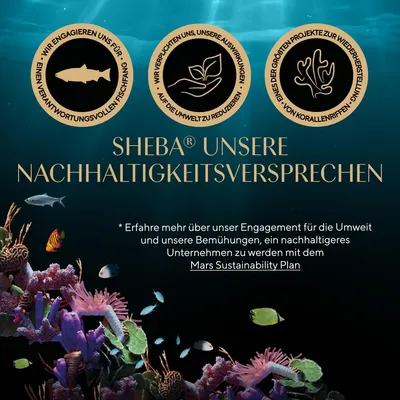 Sheba Nachhaltigkeitsversprechen: Verantwortungsvolle Fischerei, Umweltbelastung reduzieren, Korallenriffe wiederherstellen. Mehr erfahren über den Mars Sustainability Plan.