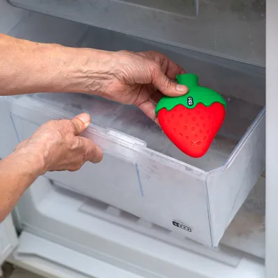 TIAKI Welpenspielzeug Erdbeere