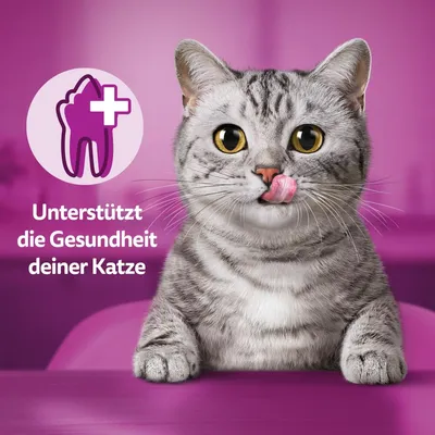 Symbol eines Zahns mit Kreuz und Text: Unterstützt die Gesundheit deiner Katze. Abgebildet ist eine graue Katze mit rosa Hintergrund.