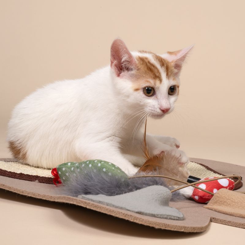 TIAKI Schnüffelmatte Pfote für Katzen