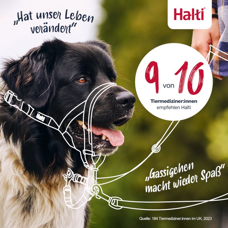 Halti Hunde-Kopfhalfter schwarz