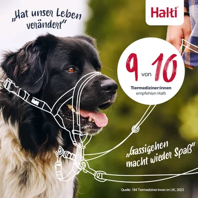 Halti Hunde-Kopfhalfter schwarz