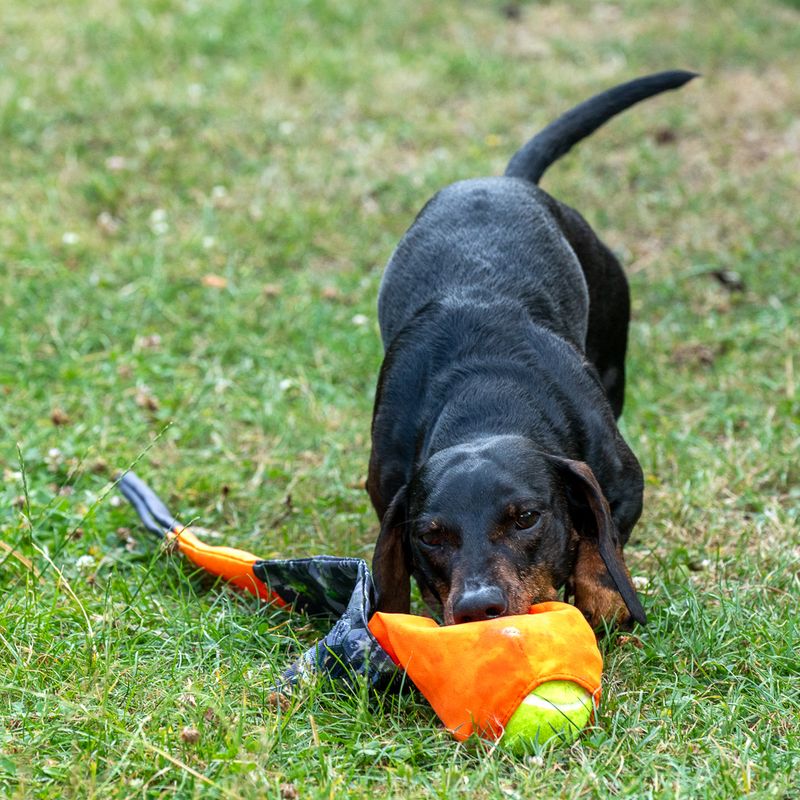 TIAKI Hundespielzeug Wurfball mit Fangschwanz