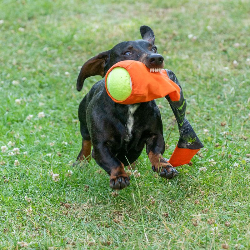 TIAKI Hundespielzeug Wurfball mit Fangschwanz