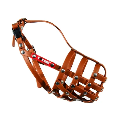 Brown leather muzzle with metal studs and adjustable strap. Visible brand name: Color.