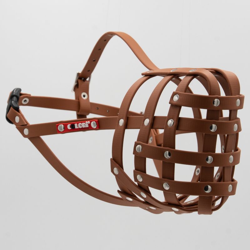 COLORI® 2.0 Açaime Shepherd L, castanho claro