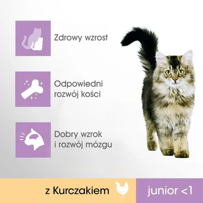 Zdrowy wzrost, odpowiedni rozwój kości, dobry wzrok i rozwój mózgu. Z kurczakiem. Junior poniżej 1 roku.