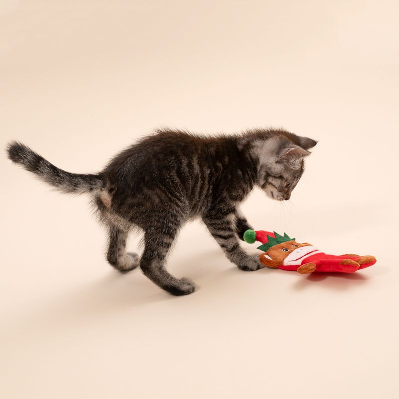 TIAKI Katzenspielzeug Weihnachtsäffchen