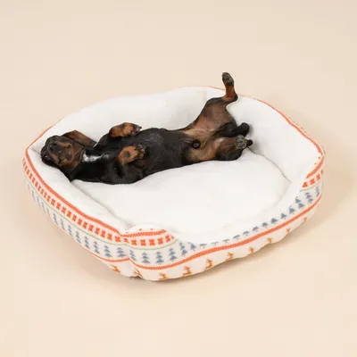 TIAKI Hundebett & Decke Nordic Winter