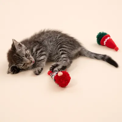 TIAKI kattenspeelset kerst elfen
