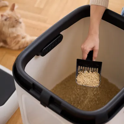 Hand schaufelt Katzenstreu aus einem Behälter. Im Hintergrund ist eine orangefarbene Katze sichtbar.