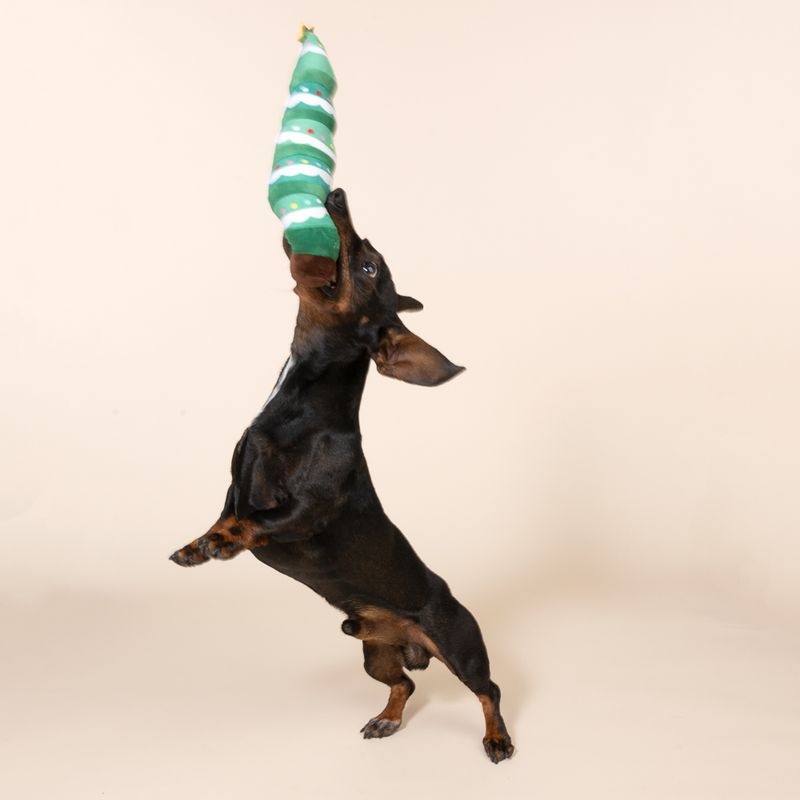 TIAKI Hundespielzeug Plüsch-Weihnachtsbaum