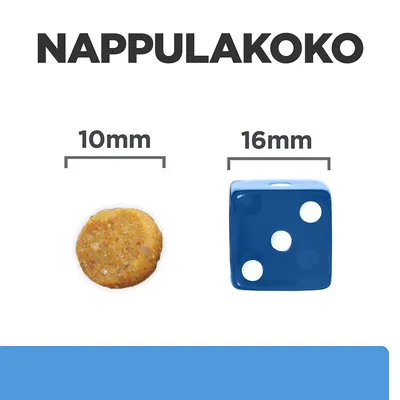 Nappulakoko: vasemmalla nappula 10 mm, oikealla sininen noppa 16 mm vertailun vuoksi. Teksti 'NAPPULAKOKO' ylhäällä.