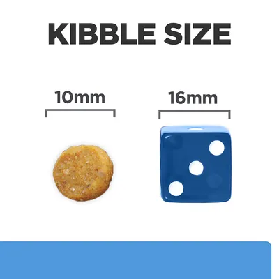 Kibble size comparison showing a 10mm round kibble next to a 16mm blue dice for scale.