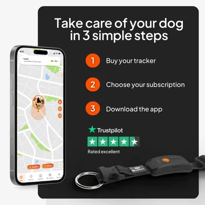 Weenect Pet XT GPS nyomkövető kutyáknak