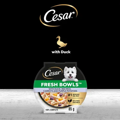 Cesar Fresh Bowls in Gravy 10 x 85g - Duck with Red Rice, Carrots & Purple Potatoes
