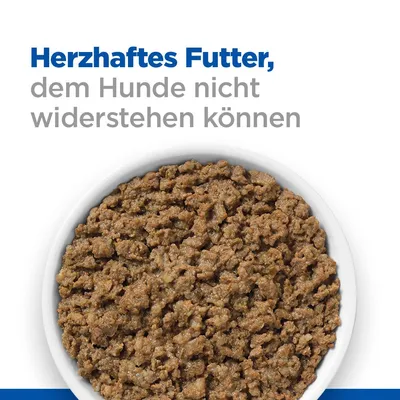 Herzhaftes Futter, dem Hunde nicht widerstehen können. Schüssel mit fleischigem Nassfutter.