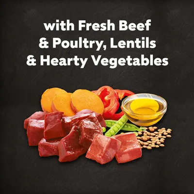 Cesar Adult with Beef, Poultry & Vegetables