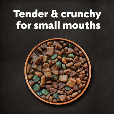 Cesar Adult with Beef, Poultry & Vegetables