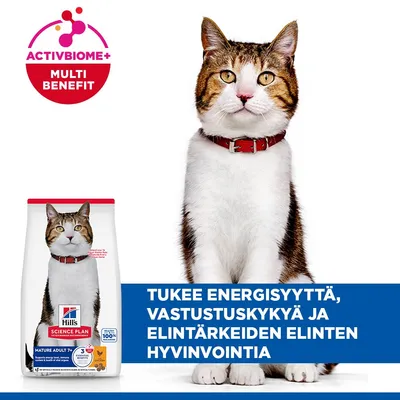 Hill's Science Plan Mature Adult 7+ -kissanruoka ActivBiome+ Multi Benefit. Tukee energiaa, vastustuskykyä ja elintärkeitä elimiä. Hill's Science Plan Mature Adult 7+ -kissanruoka ActivBiome+ Multi Benefit. Tukee energiaa, vastustuskykyä ja elintärkeitä elimiä.