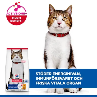 Hill's Science Plan Mature Adult 7+ Chicken