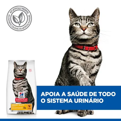 Hill's Science Plan Urinary Health Adult 1+ com frango ração para gatos