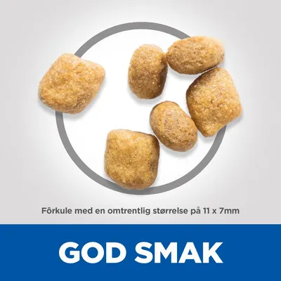 Hill's Science Plan Oral Care Adult 1+ Kylling